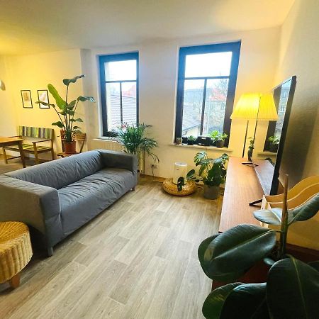 P6 - Familienwohnung Am Park Und Saale Halle  Eksteriør billede