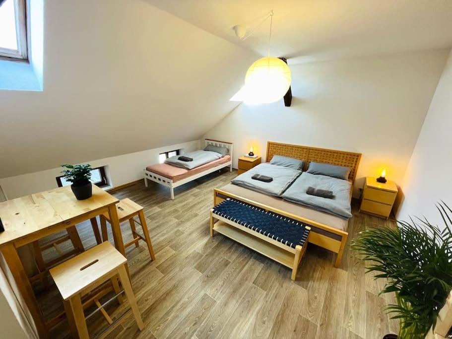 P6 - Familienwohnung Am Park Und Saale Halle  Eksteriør billede