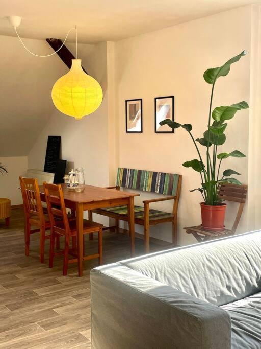 P6 - Familienwohnung Am Park Und Saale Halle  Eksteriør billede