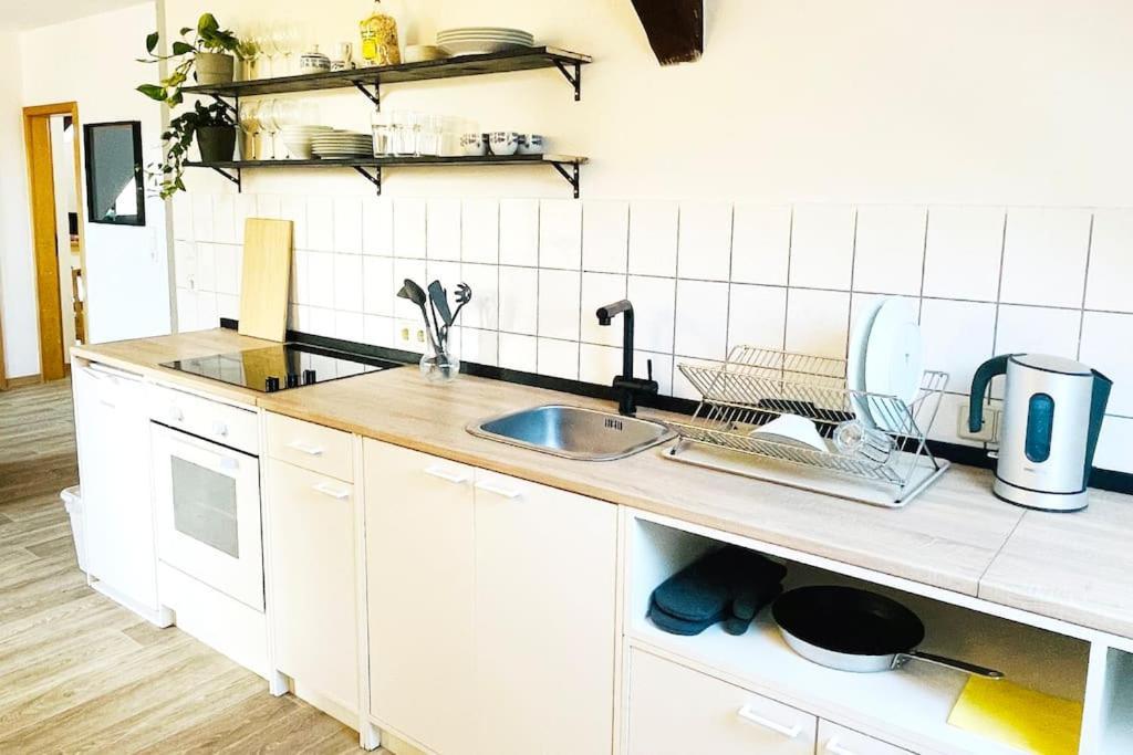 P6 - Familienwohnung Am Park Und Saale Halle  Eksteriør billede