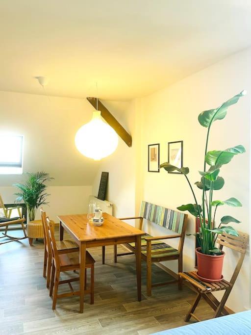 P6 - Familienwohnung Am Park Und Saale Halle  Eksteriør billede