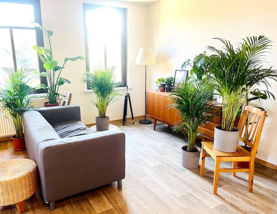P6 - Familienwohnung Am Park Und Saale Halle  Eksteriør billede