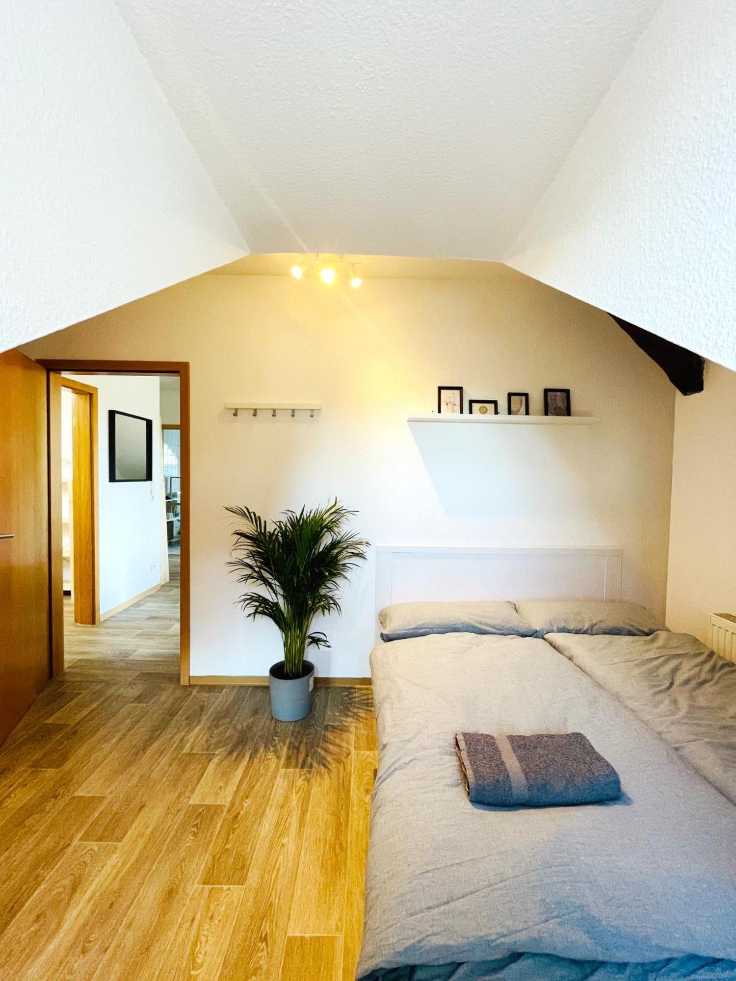 P6 - Familienwohnung Am Park Und Saale Halle  Eksteriør billede