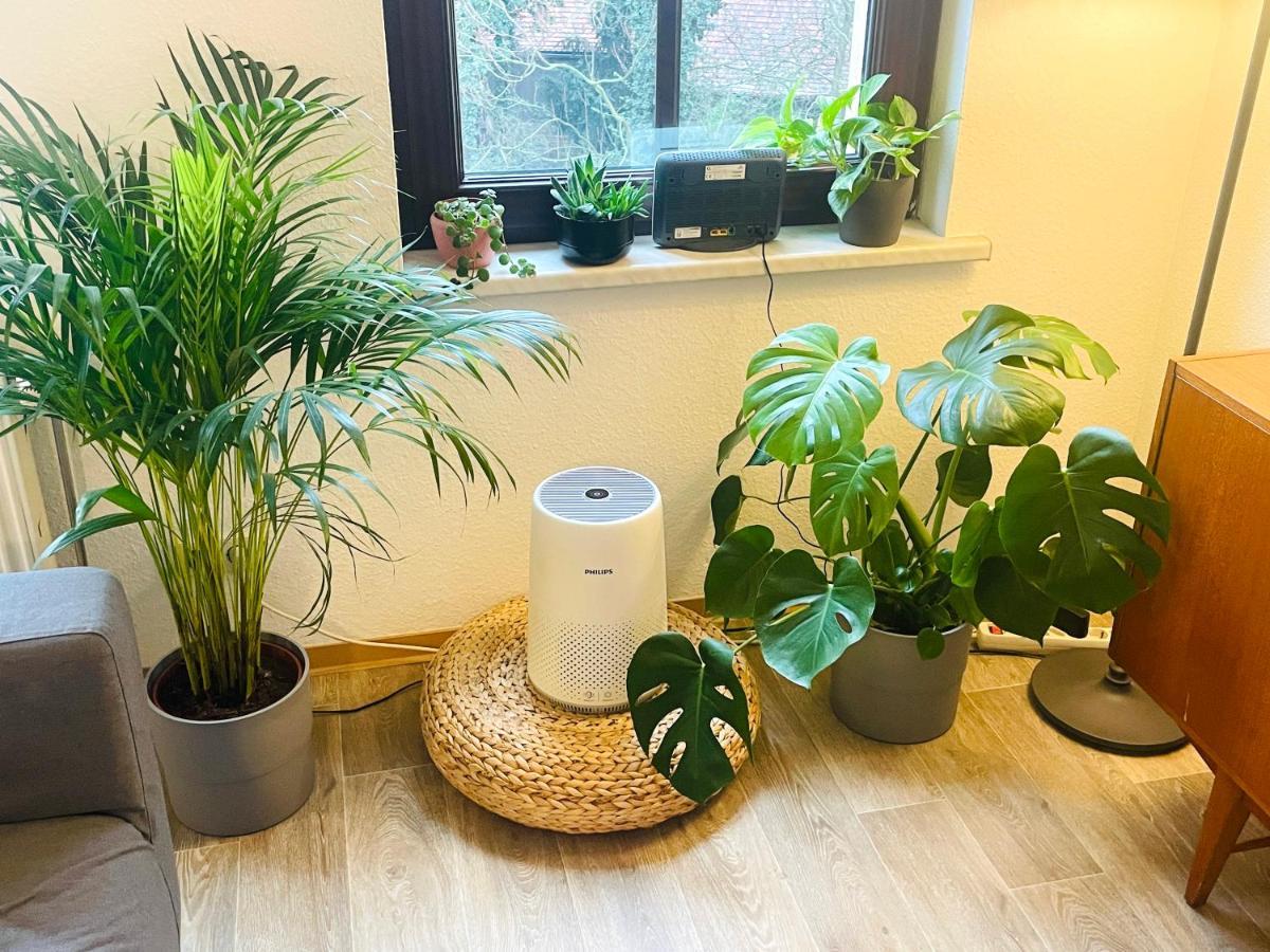 P6 - Familienwohnung Am Park Und Saale Halle  Eksteriør billede